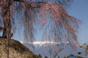DSC_0001 DSC_0001
