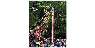 諏訪　御柱祭り（諏訪市周辺地域）